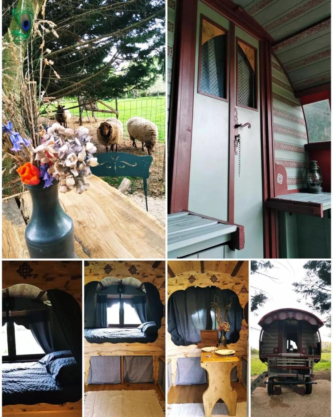 Roulotte Irlandaise Polly Hotel Saint-Vincent-en-Bresse Екстериор снимка