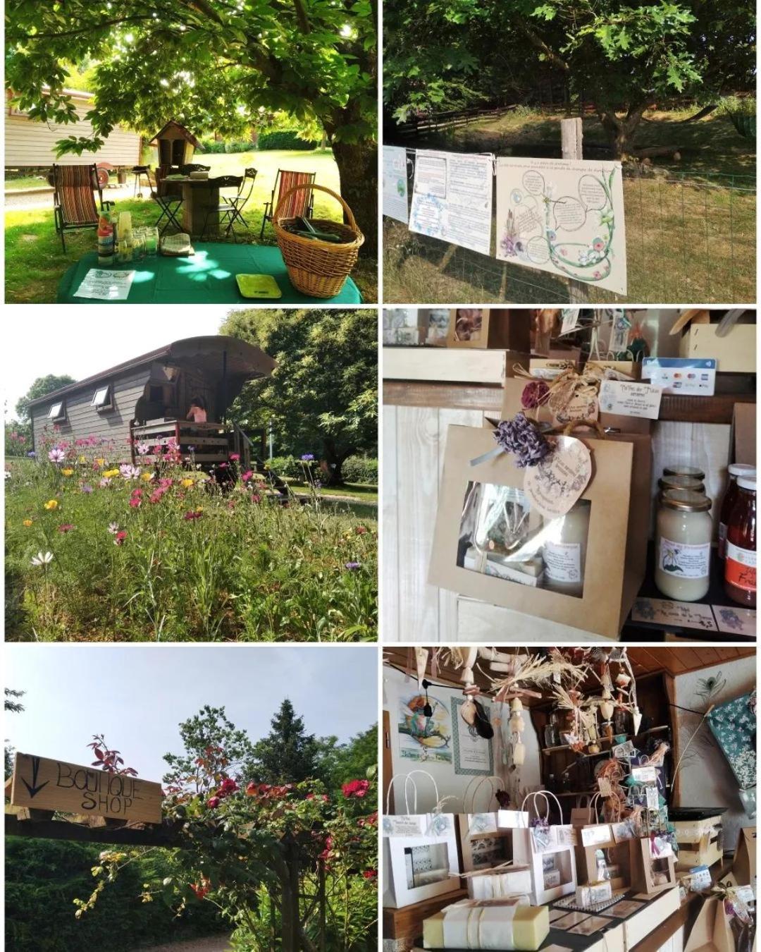 Roulotte Irlandaise Polly Hotel Saint-Vincent-en-Bresse Екстериор снимка